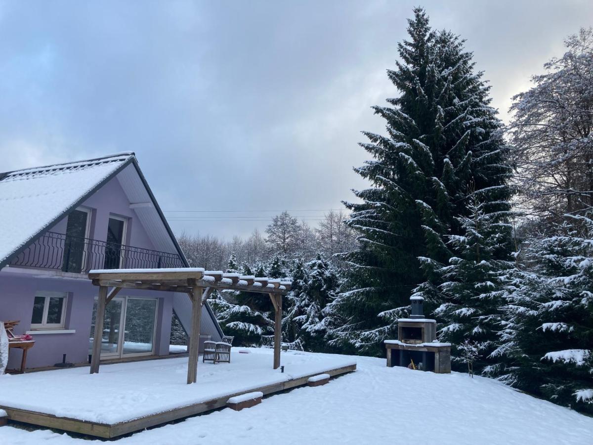 Vila L'Opportunite Saulxures Exteriér fotografie